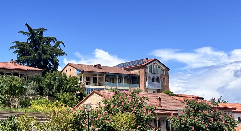 All-inclusive Day Trip to Kakheti with Family Lunch and wine Tasting Georgia &mdash; #8