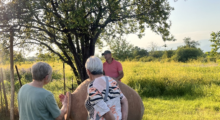 All-inclusive Day Trip to Kakheti with Family Lunch and wine Tasting Georgia &mdash; #9