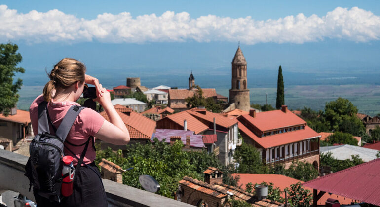 All-inclusive Day Trip to Kakheti with Family Lunch and wine Tasting Georgia &mdash; #10