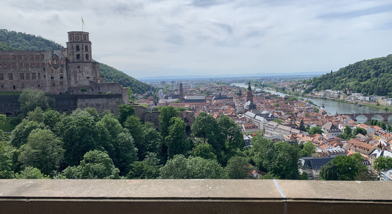 Beyond the Postcards: Private Tour of Heidelberg and the Castle Germany &mdash; #3