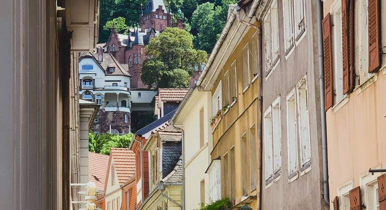 Beyond the Postcards: Private Tour of Heidelberg and the Castle Germany &mdash; #5