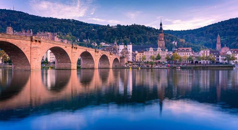 Beyond the Postcards: Private Tour of Heidelberg and the Castle Germany &mdash; #2