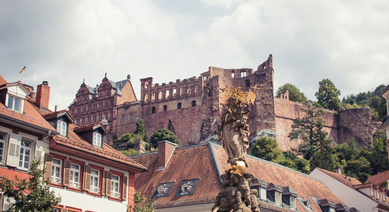 Beyond the Postcards: Private Tour of Heidelberg and the Castle Germany &mdash; #4