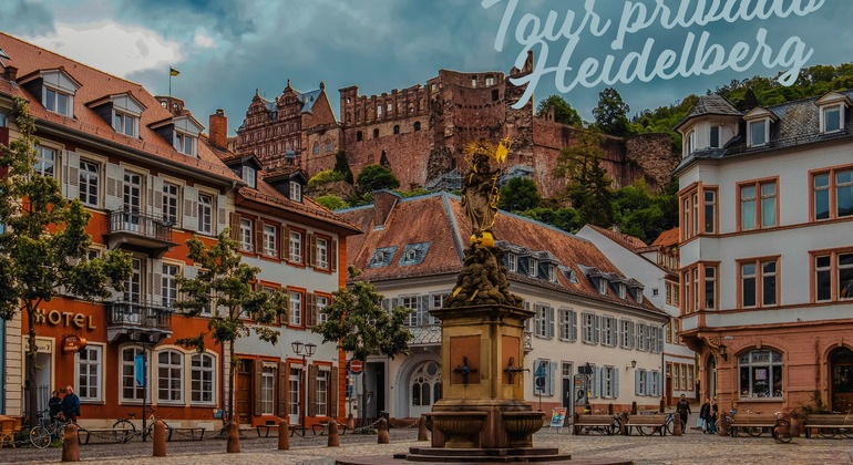 Beyond the Postcards: Private Tour of Heidelberg and the Castle Provided by Nicolas