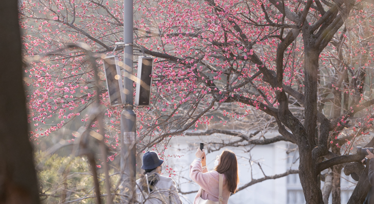 Visita guiada por Seúl Corea del Sur &mdash; #7