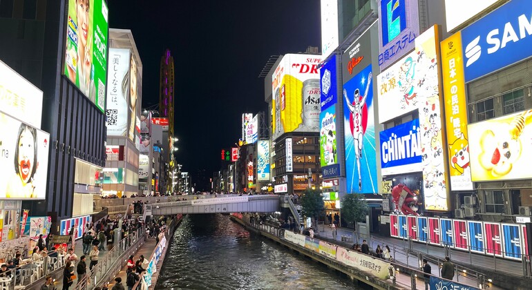 Free Tour of downtown Osaka Japan &mdash; #4