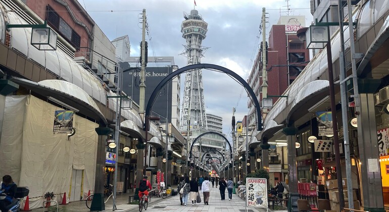 Free Tour of downtown Osaka Japan &mdash; #6