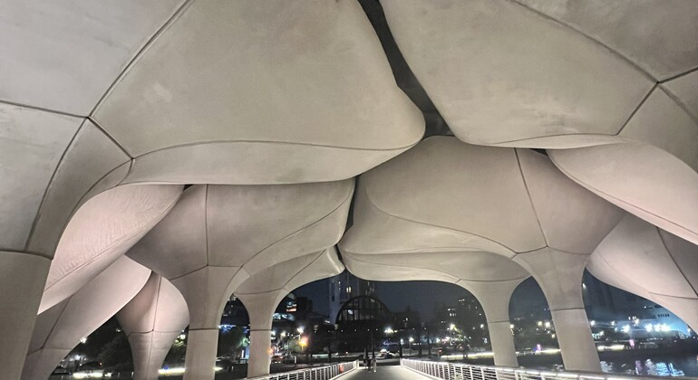 Free Tour NYC at night: The Highline Urban Hike USA &mdash; #12