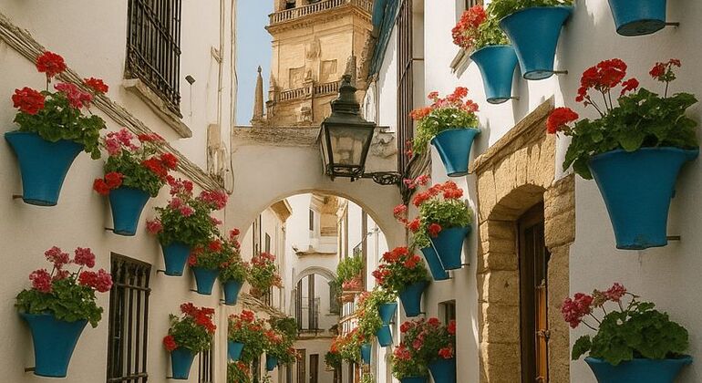 Essences and Secrets of Córdoba Spain &mdash; #2