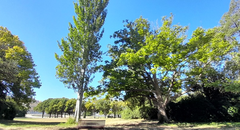 Free Tour: Walk through the Palais Longchamp and its Parks France &mdash; #4