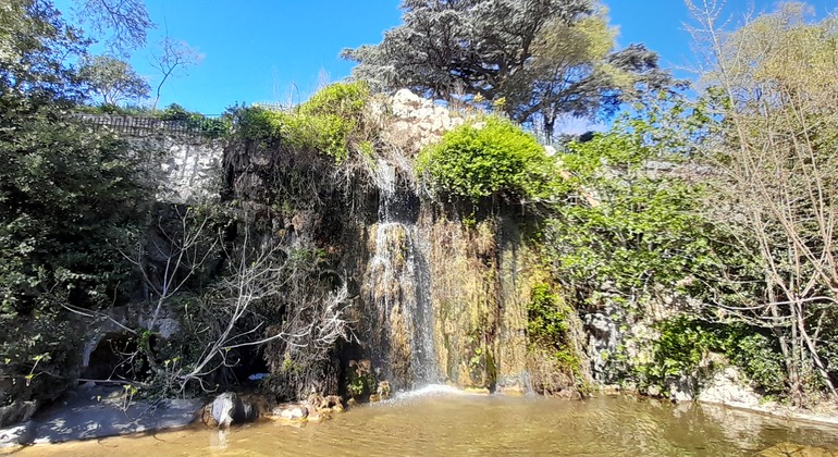 Free Tour: Walk through the Palais Longchamp and its Parks France &mdash; #4