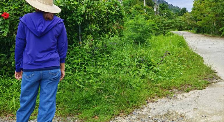 culture-thai-cooking-class-natural-life-es-8