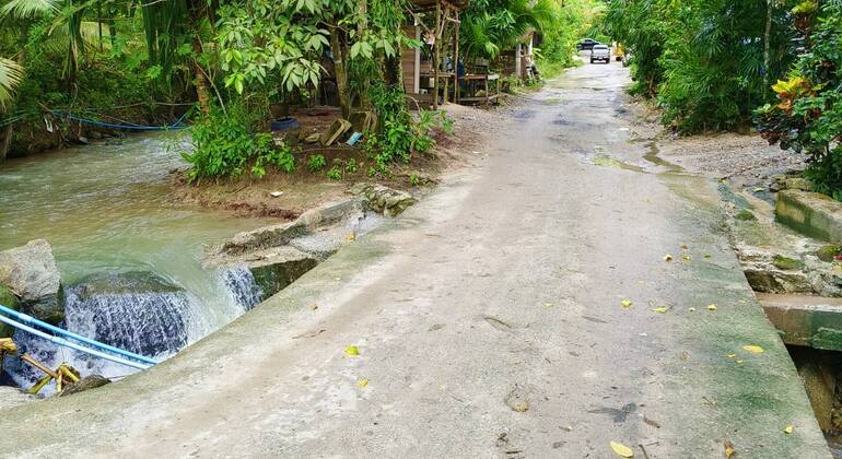 culture-thai-cooking-class-natural-life-es-9