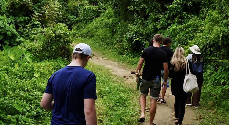 culture-thai-cooking-class-natural-life-es-10