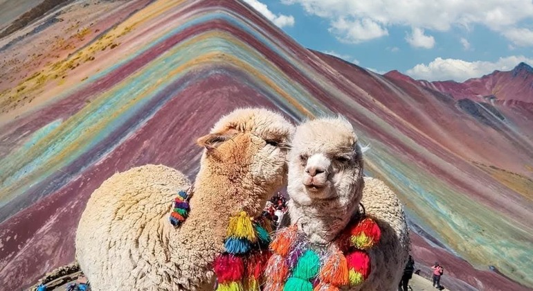 Tour di un'intera giornata sulle montagne colorate Perù &mdash; #3