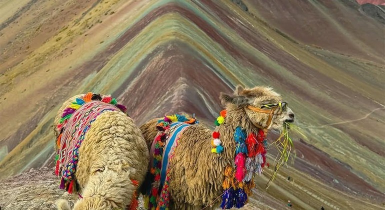 Tour di un'intera giornata sulle montagne colorate Perù &mdash; #4