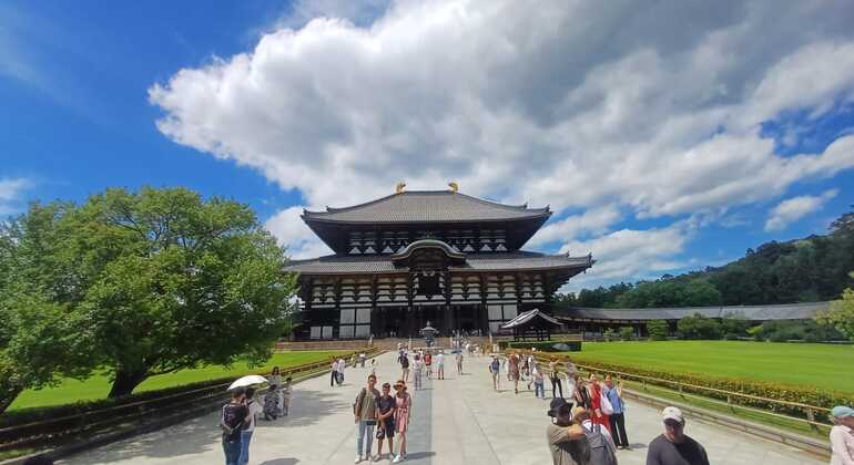 Nara Park FreeTour, Japan