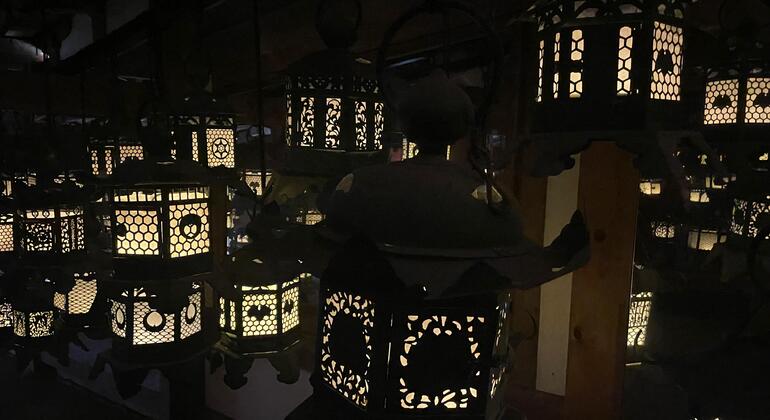 Nara Park FreeTour Japan &mdash; #2