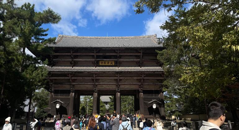 Nara Park FreeTour Japan &mdash; #4