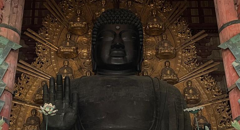 Nara Park FreeTour Japan &mdash; #5