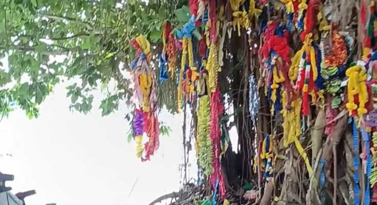 Visite libre : Promenade sur l'île de Blue Beach Sri Lanka &mdash; #5