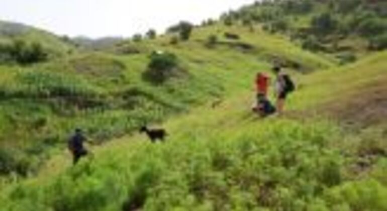 private-mindelo-island-tour-en-5