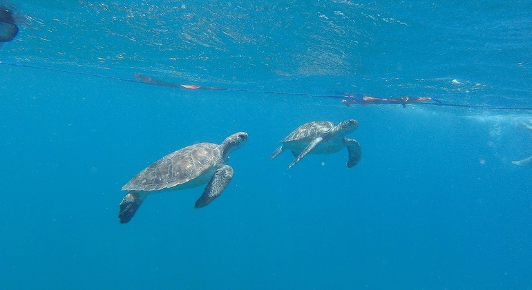 private-mindelo-island-tour-en-6