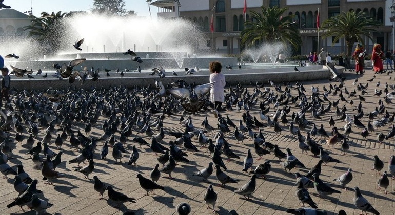 L'authentique Casablanca : à la découverte de l'âme de la ville Maroc &mdash; #9