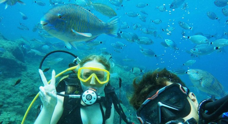 Undersea Museum Diving Tour Turkey &mdash; #6