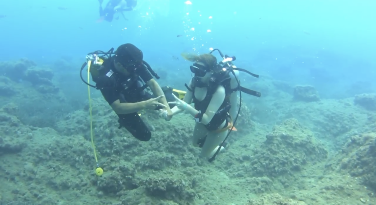 Undersea Museum Diving Tour Turkey &mdash; #8