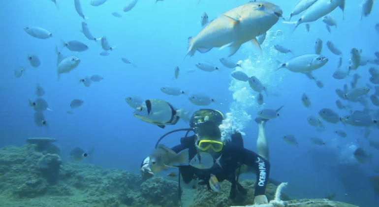 Undersea Museum Diving Tour Turkey &mdash; #9