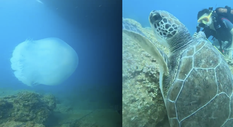 Undersea Museum Diving Tour Turkey &mdash; #10