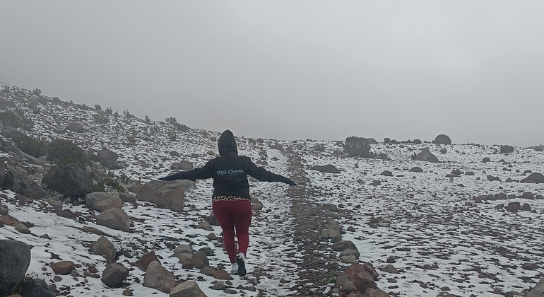 Chimborazo & Yambo: Tour zum andinen Berg Ecuador &mdash; #2