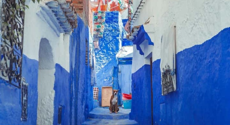 Day Trip to Chefchaouen Morocco &mdash; #2