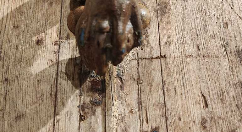 Tour: Vélo Taxi Discover Rabat Morocco &mdash; #3