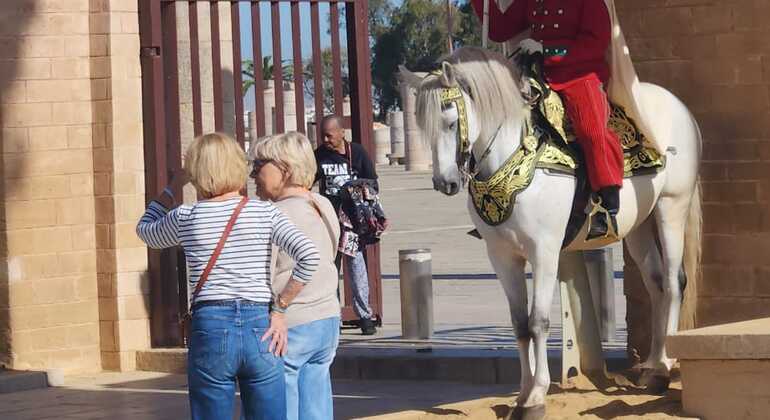 Tour: Vélo Taxi Discover Rabat Morocco &mdash; #6