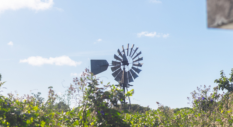 ba-hidden-wonders-tour-parque-chas-and-agronomia-park-es-6