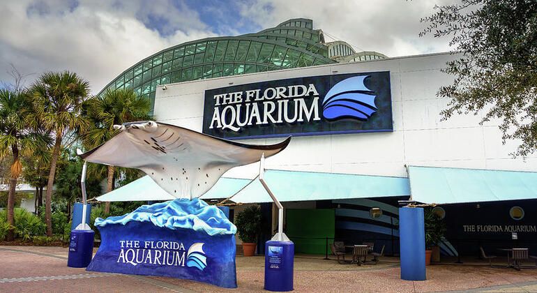 O melhor passeio gratuito pelo Tampa Riverwalk, USA