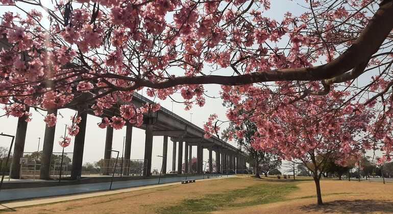 must-see-rosario-free-tour-messi-che-guevara-and-more-es-4