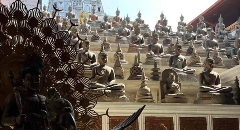 Colombo Vibes Free Tour: Walk,Talk & Explore Sri Lanka &mdash; #5