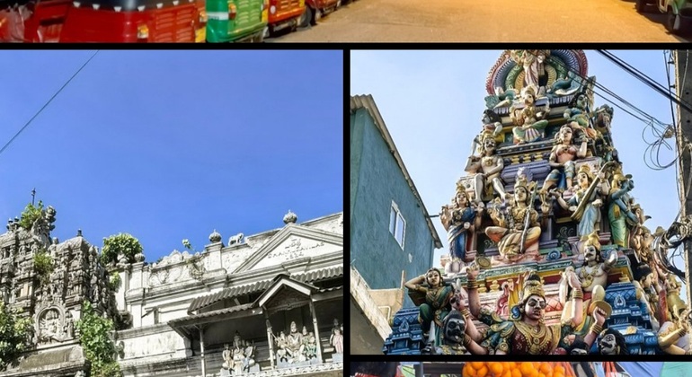 Colombo Vibes Free Tour: Walk,Talk & Explore Sri Lanka &mdash; #12