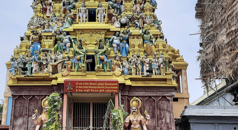 Colombo Vibes Free Tour: Walk,Talk & Explore Sri Lanka &mdash; #19