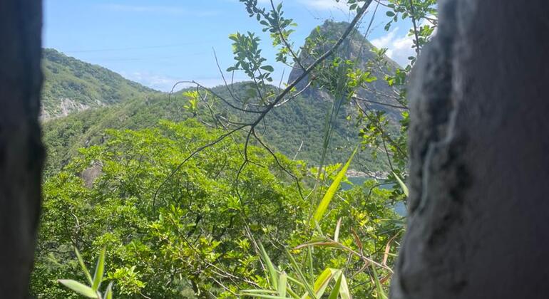 Kostenlose Tour Leme & Copacabana seit den Anfängen: Eine Entdeckungstour durch seine Geschichte Brasilien &mdash; #7