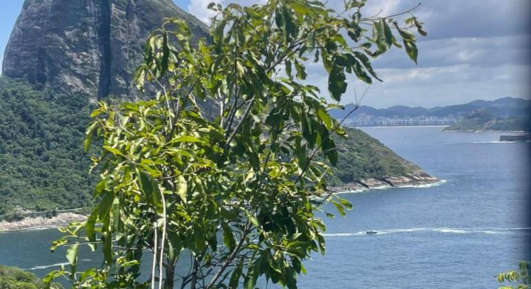 Kostenlose Tour Leme & Copacabana seit den Anfängen: Eine Entdeckungstour durch seine Geschichte Brasilien &mdash; #11