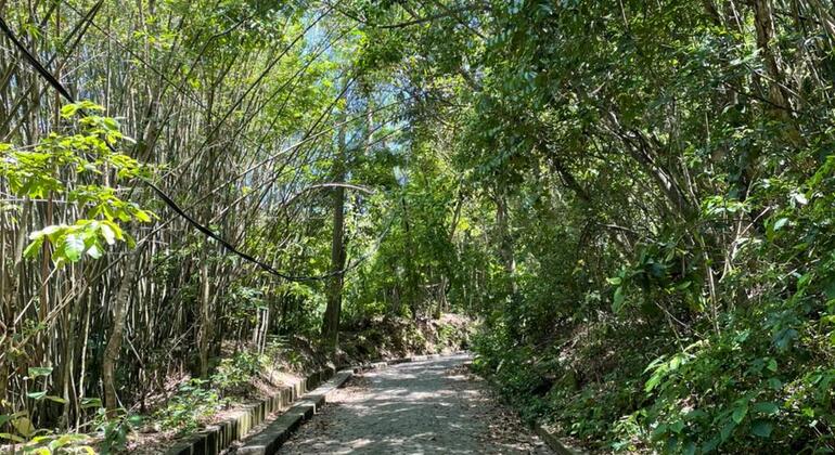 Kostenlose Tour Leme & Copacabana seit den Anfängen: Eine Entdeckungstour durch seine Geschichte Brasilien &mdash; #12