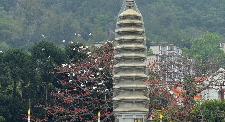 xiamen-free-tour-es-20