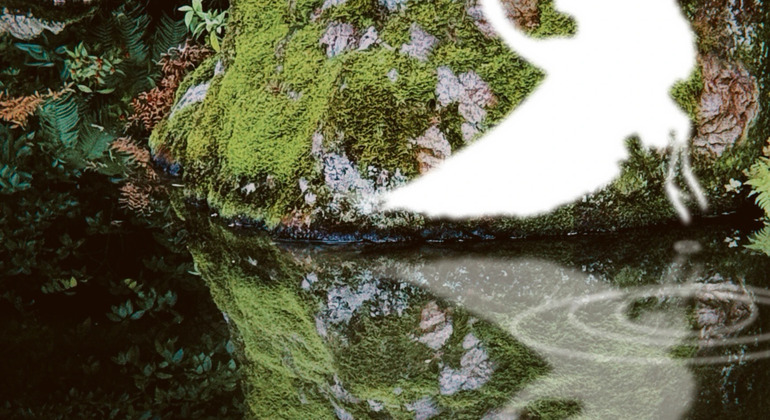 folded-millennia-free-walking-reverie-through-kyoto-es-7