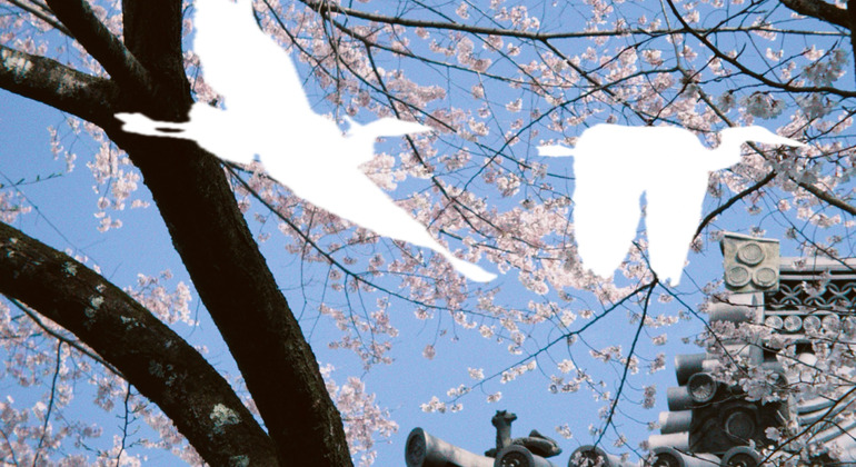 folded-millennia-free-walking-reverie-through-kyoto-es-8