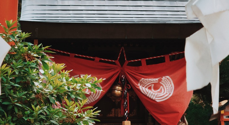 Milénios dobrados: visita gratuita ao labirinto do tempo vivo de Quioto Japão &mdash; #8