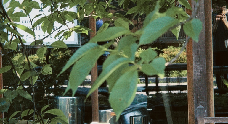 Milénios dobrados: visita gratuita ao labirinto do tempo vivo de Quioto Japão &mdash; #5